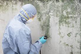 Bloomingburg, OH Mold Removal & Remediation Company